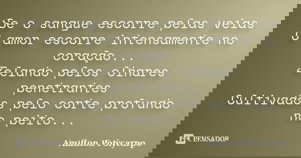 Se o sangue escorre pelas veias O amor escorre intensamente no coração... Zelando pelos olhares penetrantes Cultivados pelo corte profundo no peito...... Frase de Amilton Polycarpo.