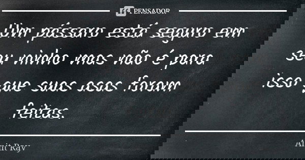 Um pássaro está seguro em seu ninho mas não é para isso que suas asas foram feitas.... Frase de Amit Ray.