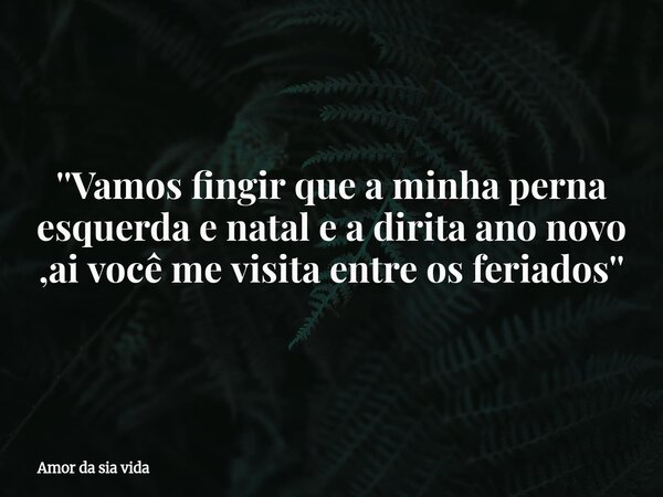 ''Vamos fingir que a minha perna esquerda e natal e a dirita ano novo ,ai você me visita entre os feriados''... Frase de Amor da sia vida.