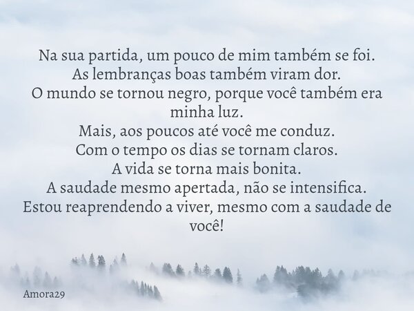 Na sua partida, um pouco de mim também se foi. As lembranças boas também viram dor. O mundo se tornou negro, porque você também era minha luz. Mais, aos poucos ... Frase de Amora29.