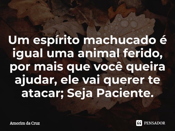 ⁠Um espírito machucado é igual uma animal ferido, por mais que você queira ajudar, ele vai querer te atacar; Seja Paciente.... Frase de Amorim da Cruz.