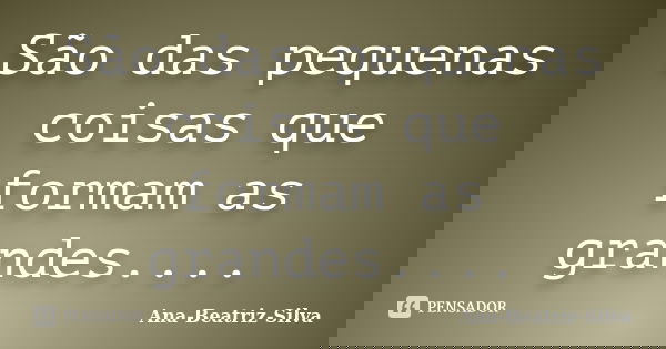São das pequenas coisas que formam as grandes....... Frase de Ana-Beatriz-Silva.