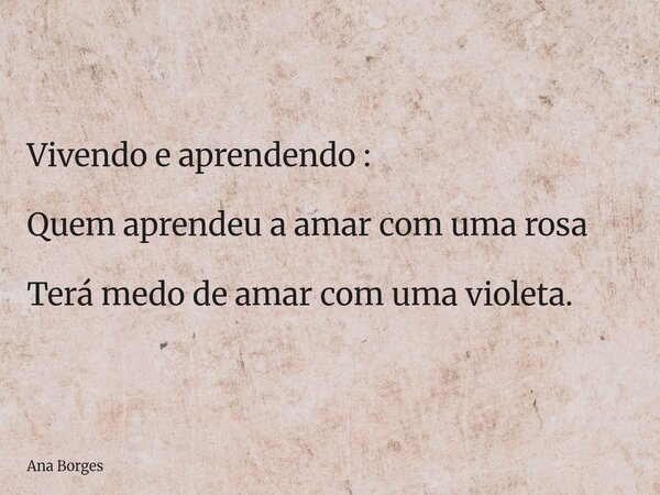 Vivendo e aprendendo : Quem aprendeu a amar com uma rosa Terá medo de amar com uma violeta.... Frase de Ana Borges.