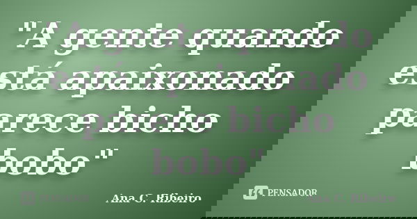 "A gente quando está apaixonado parece bicho bobo"... Frase de Ana C. Ribeiro.