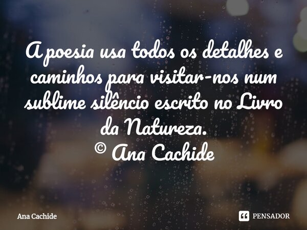 ⁠A poesia usa todos os detalhes e caminhos para visitar-nos num sublime silêncio escrito no Livro da Natureza. © Ana Cachide... Frase de Ana Cachide.