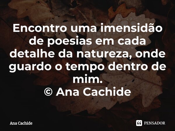 ⁠Encontro uma imensidão de poesias em cada detalhe da natureza, onde guardo o tempo dentro de mim. © Ana Cachide... Frase de Ana Cachide.