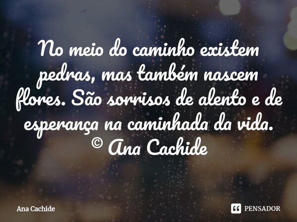 ⁠No meio do caminho existem pedras, mas também nascem flores. São sorrisos de alento e de esperança na caminhada da vida. © Ana Cachide... Frase de Ana Cachide.