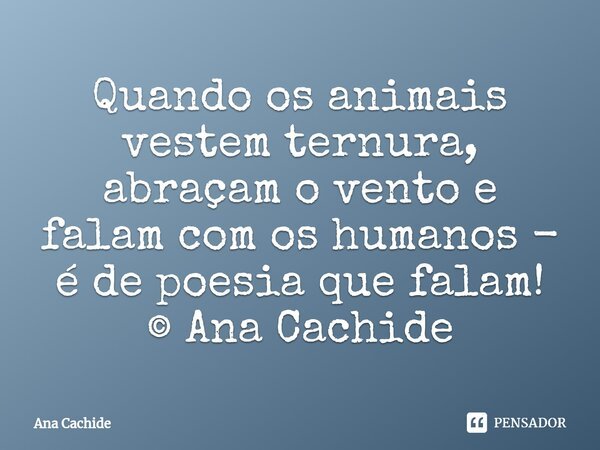 ⁠Quando os animais vestem ternura, abraçam o vento e falam com os humanos - é de poesia que falam! © Ana Cachide... Frase de Ana Cachide.