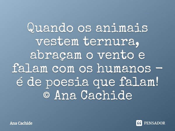 ⁠Quando os animais vestem ternura, abraçam o vento e falam com os humanos - é de poesia que falam! © Ana Cachide... Frase de Ana Cachide.