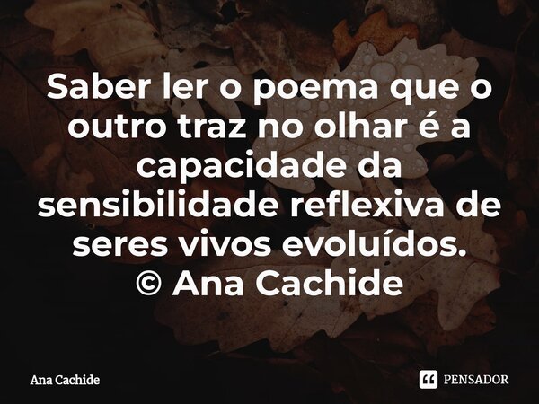 ⁠Saber ler o poema que o outro traz no olhar é a capacidade da sensibilidade reflexiva de seres vivos evoluídos. © Ana Cachide... Frase de Ana Cachide.