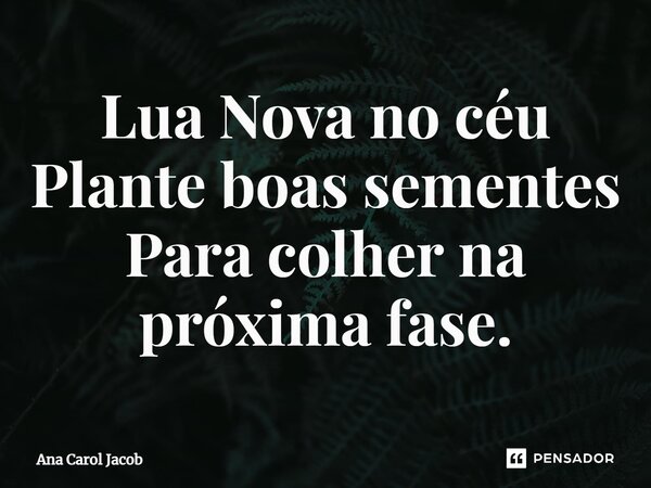 ⁠Lua Nova no céu Plante boas sementes Para colher na próxima fase.... Frase de Ana Carol Jacob.