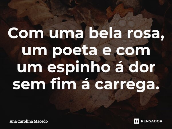 Com uma bela rosa, um poeta e com um espinho á dor sem fim á car⁠rega.... Frase de Ana Carolina Macedo.