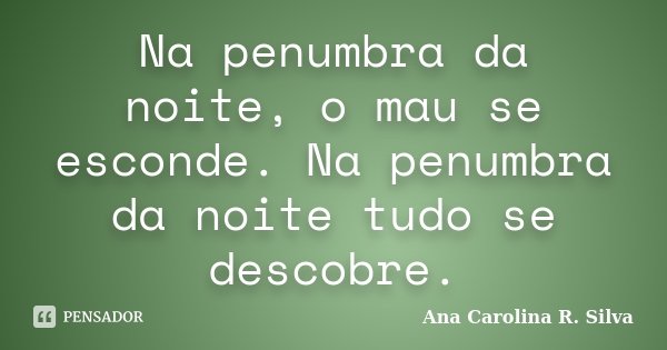 Na penumbra da noite, o mau se esconde. Na penumbra da noite tudo se descobre.... Frase de Ana Carolina R. Silva.