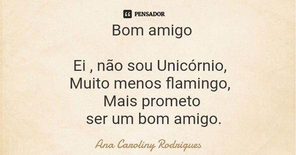 Bom amigo Ei , não sou Unicórnio, Muito menos flamingo, Mais prometo ser um bom amigo.... Frase de Ana Caroliny Rodrigues.