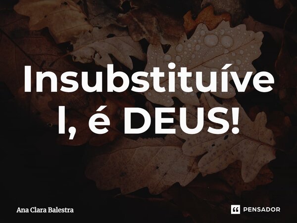 ⁠Insubstituível, é DEUS!... Frase de Ana Clara Balestra.