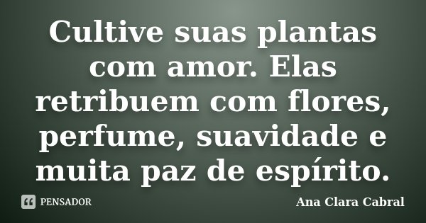 Cultive suas plantas com amor. Elas retribuem com flores, perfume, suavidade e muita paz de espírito.... Frase de Ana Clara Cabral.