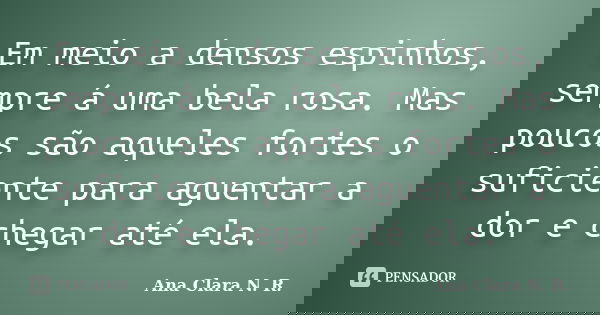 Em meio a densos espinhos, sempre á uma bela rosa. Mas poucos são aqueles fortes o suficiente para aguentar a dor e chegar até ela.... Frase de Ana Clara N. R..