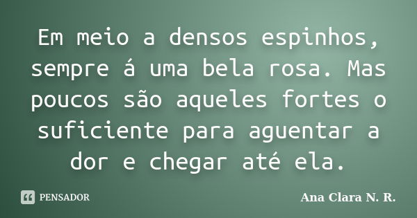 Em meio a densos espinhos, sempre á uma bela rosa. Mas poucos são aqueles fortes o suficiente para aguentar a dor e chegar até ela.... Frase de Ana Clara N. R..