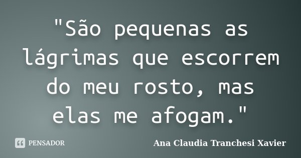 "São pequenas as lágrimas que escorrem do meu rosto, mas elas me afogam."... Frase de Ana Claudia Tranchesi Xavier.