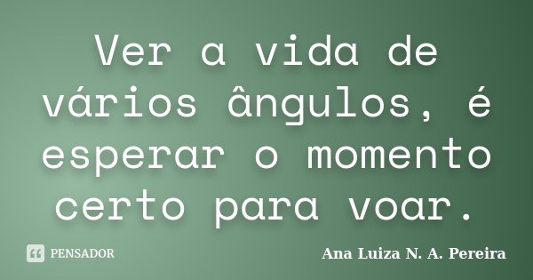 Ver a vida de vários ângulos, é esperar o momento certo para voar.... Frase de Ana Luiza N. A. Pereira.