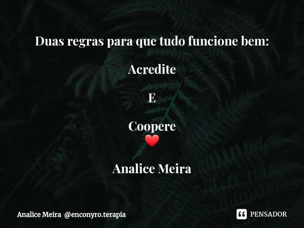 ⁠Duas regras para que tudo funcione bem: Acredite E Coopere
❤ Analice Meira... Frase de Analice Meira enconyro.terapia.