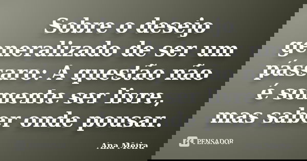 Sobre o desejo generalizado de ser um pássaro: A questão não é somente ser livre, mas saber onde pousar.... Frase de Ana Meira.
