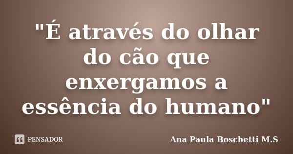 "É através do olhar do cão que enxergamos a essência do humano"... Frase de Ana Paula Boschetti M.S.