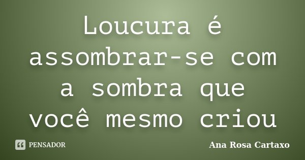 Loucura é assombrar-se com a sombra que você mesmo criou... Frase de Ana Rosa Cartaxo.