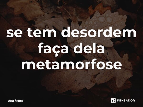 ⁠se tem desordem faça dela metamorfose... Frase de Ana Scuro.