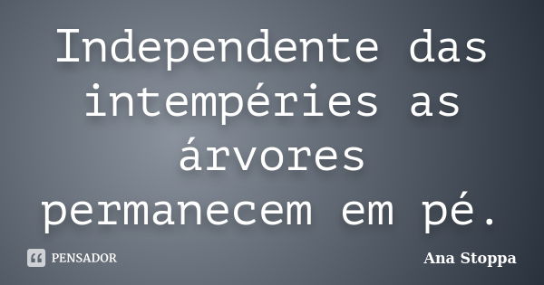 Independente das intempéries as árvores permanecem em pé.... Frase de Ana Stoppa.