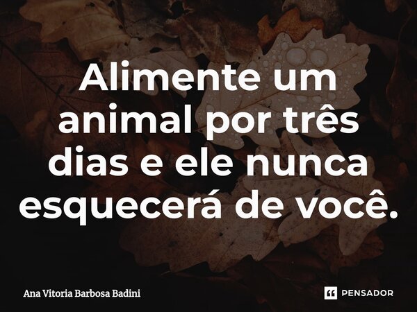 ⁠Alimente um animal por três dias e ele nunca esquecerá de você.... Frase de Ana Vitória Barbosa Badini.