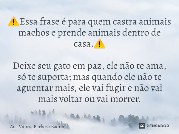 ⚠️Essa frase é para quem castra animais machos e prende animais dentro de casa.⚠️ Deixe seu gato em paz, ele não te ama, só te suporta; mas quando ele não te a... Frase de Ana Vitória Barbosa Badini.