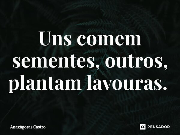 Uns comem sementes, outros, plantam lavouras. ⁠... Frase de Anaxágoras Castro.