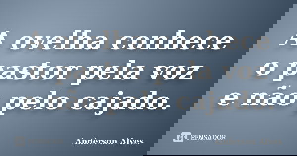 A ovelha conhece o pastor pela voz e não pelo cajado.... Frase de Anderson Alves.