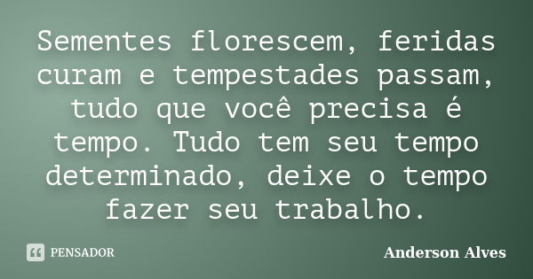 Sementes florescem, feridas curam e tempestades passam, tudo que você precisa é tempo. Tudo tem seu tempo determinado, deixe o tempo fazer seu trabalho.... Frase de Anderson Alves.