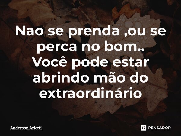 ⁠Nao se prenda ,ou se perca no bom.. Você pode estar abrindo mão do extraordinário... Frase de Anderson Arietti.