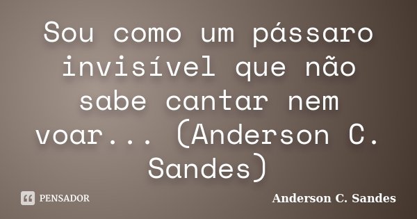 Sou como um pássaro invisível que não sabe cantar nem voar... (Anderson C. Sandes)... Frase de Anderson C. Sandes.