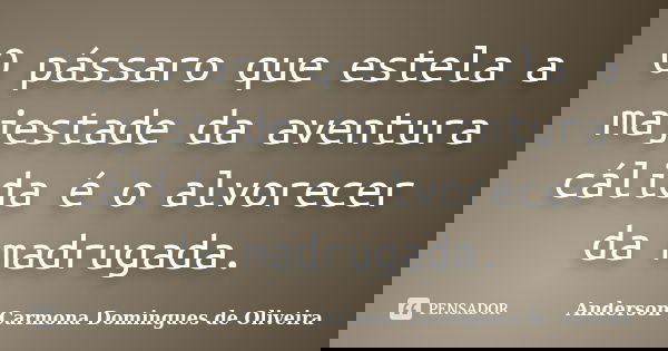 O pássaro que estela a majestade da aventura cálida é o alvorecer da madrugada.... Frase de Anderson Carmona Domingues de Oliveira.