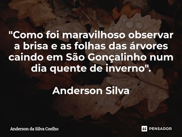 "⁠Como foi maravilhoso observar a brisa e as folhas das árvores caindo em São Gonçalinho num dia quente de inverno". Anderson Silva... Frase de Anderson da Silva Coelho.