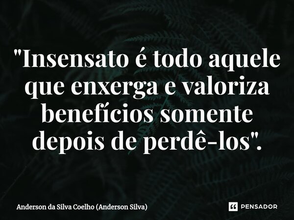 ⁠"Insensato é todo aquele que enxerga e valoriza benefícios somente depois de perdê-los".... Frase de Anderson da Silva Coelho (Anderson Silva).