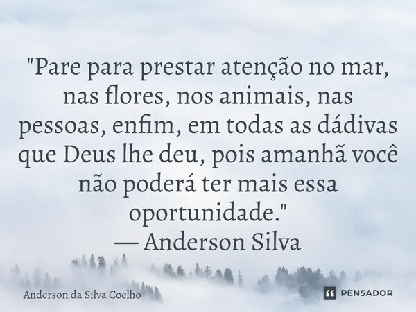 "Pare para prestar atenção no mar, nas flores, nos animais, nas pessoas, enfim, em todas as dádivas que Deus lhe deu, pois amanhã você não poderá ter mais... Frase de Anderson da Silva Coelho.