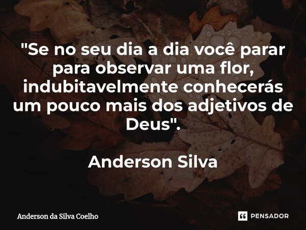 ⁠"Se no seu dia a dia você parar para observar uma flor, indubitavelmente conhecerás um pouco mais dos adjetivos de Deus". Anderson Silva... Frase de Anderson da Silva Coelho.
