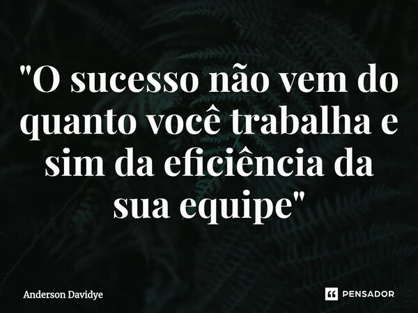 ⁠"O sucesso não vem do quanto você trabalha e sim da eficiência da sua equipe"... Frase de Anderson Davidye.