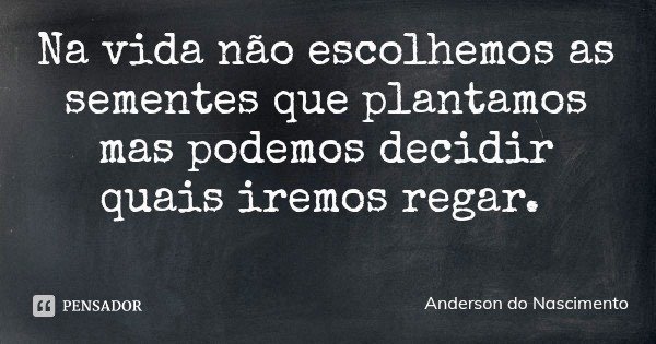 Na vida não escolhemos as sementes que plantamos mas podemos decidir quais iremos regar.... Frase de Anderson do Nascimento.