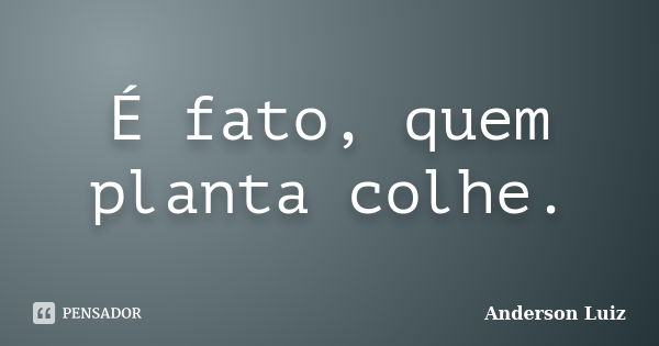 É fato, quem planta colhe.... Frase de Anderson Luiz.