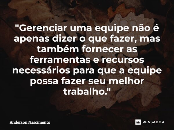 ⁠"Gerenciar uma equipe não é apenas dizer o que fazer, mas também fornecer as ferramentas e recursos necessários para que a equipe possa fazer seu melhor t... Frase de Anderson Nascimento.