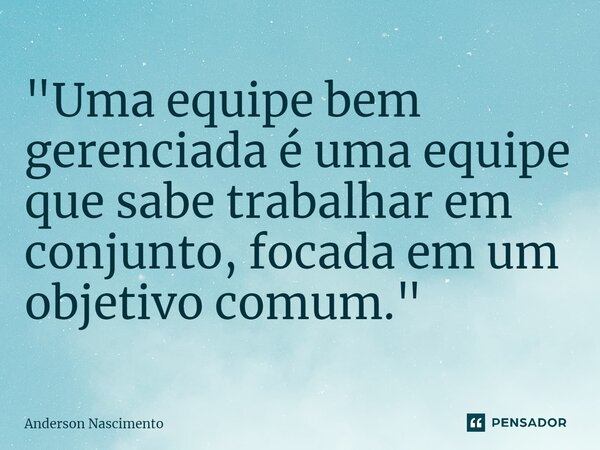 ⁠"Uma equipe bem gerenciada é uma equipe que sabe trabalhar em conjunto, focada em um objetivo comum."... Frase de Anderson Nascimento.