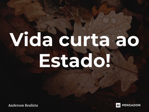 ⁠Vida curta ao Estado!... Frase de Anderson Realista.
