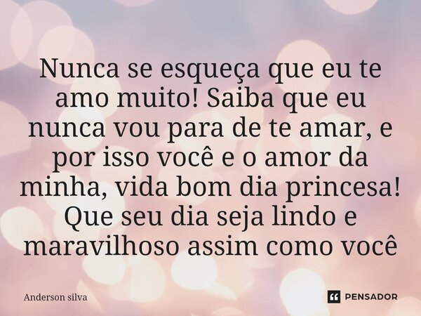 Nunca se esqueça que eu te amo muito! Saiba que eu nunca vou para de te amar, e por isso você e o amor da minha, vida bom dia princesa! Que seu dia seja lindo e... Frase de Anderson Silva.