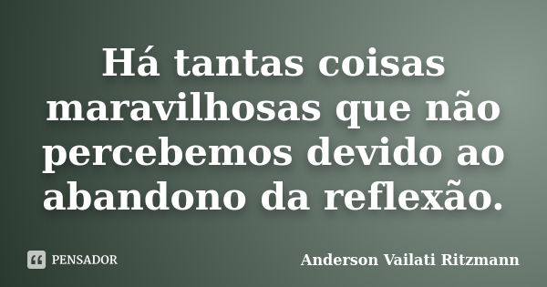 Há tantas coisas maravilhosas que não percebemos devido ao abandono da reflexão.... Frase de Anderson Vailati Ritzmann.